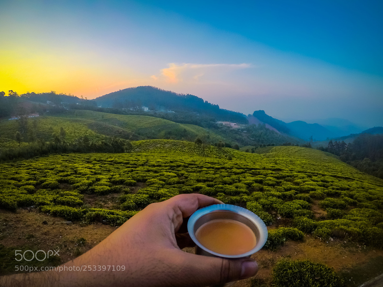 GoPro Hero5 Black sample photo. Tea of tea garden! photography