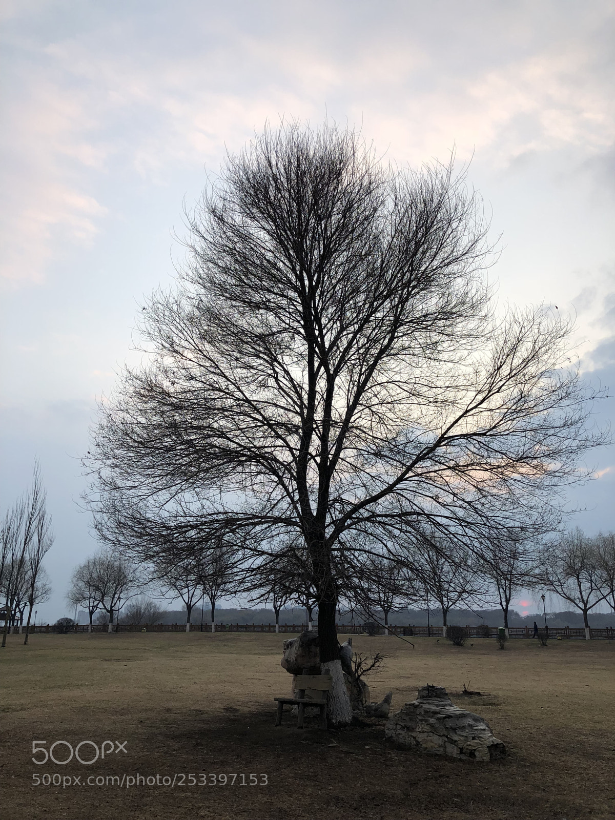 Apple iPhone X sample photo. Light of the setting photography