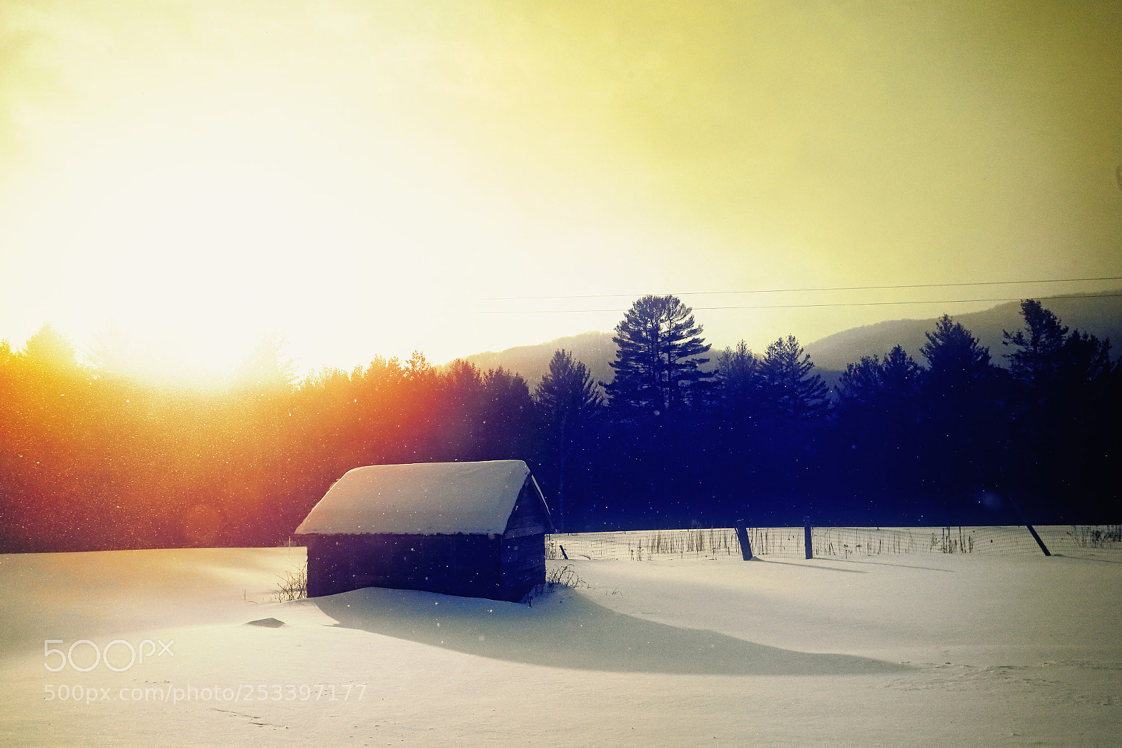 Canon EOS-1D X sample photo. Chicken coop photography