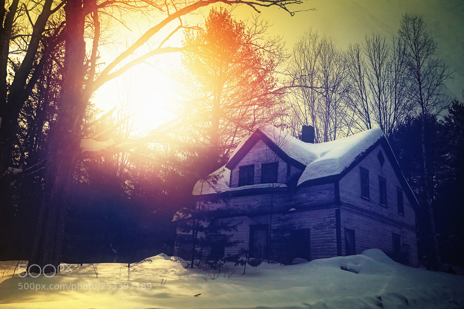 Canon EOS-1D X sample photo. Abandoned five photography