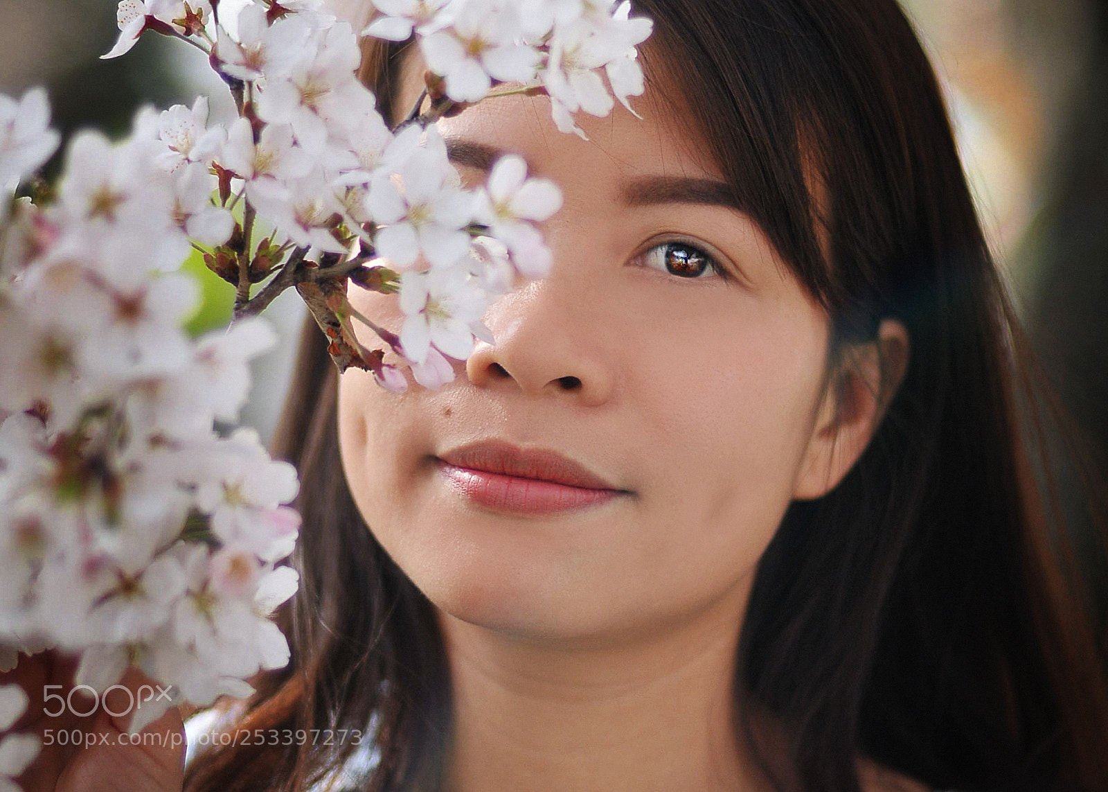 Nikon D300S sample photo. Ode to sweet spring***2018 photography