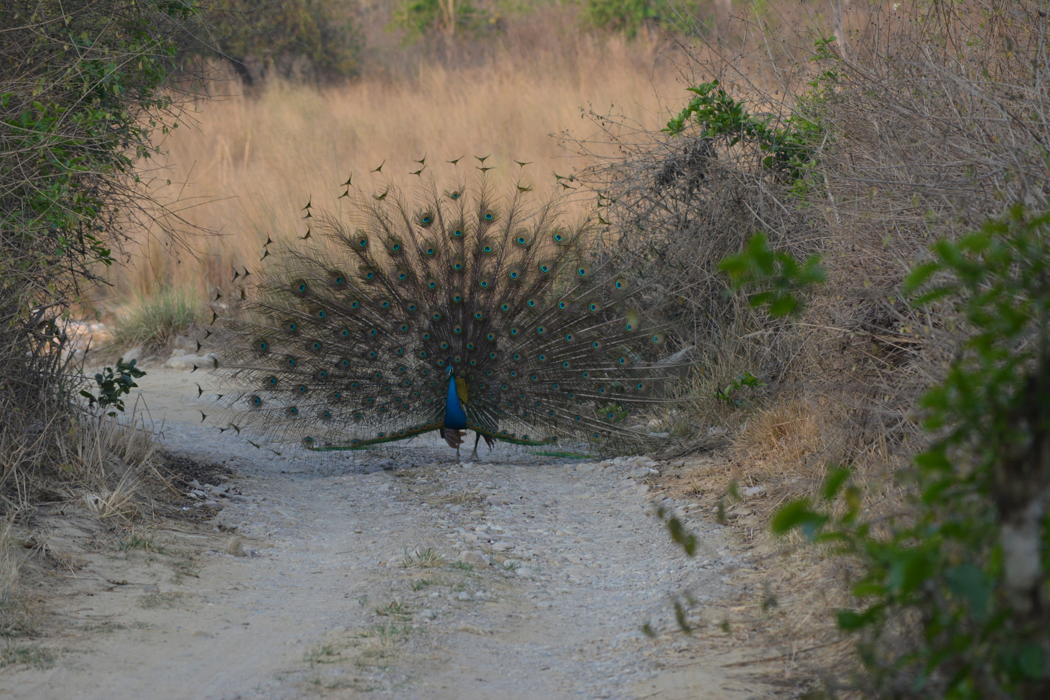 Nikon D5200 sample photo. Amazing photography