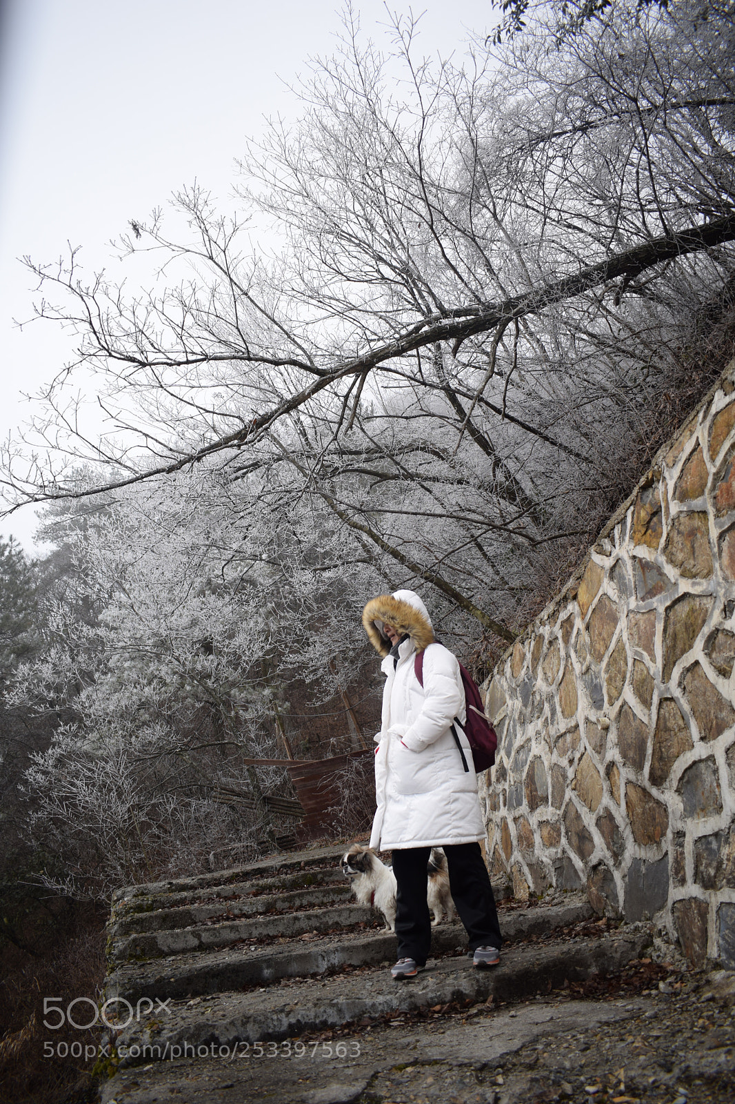 Nikon D5300 sample photo. 2017旧照片 photography