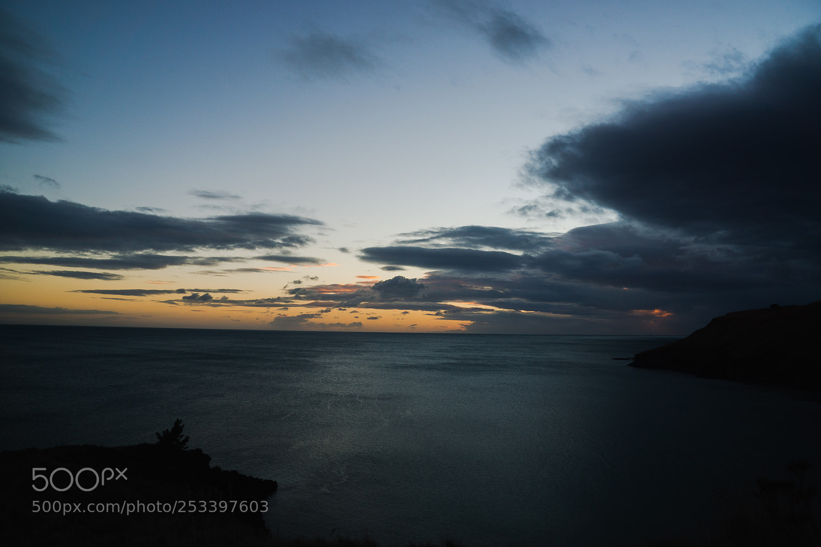 Sony SLT-A77 sample photo. Godley head beauty photography