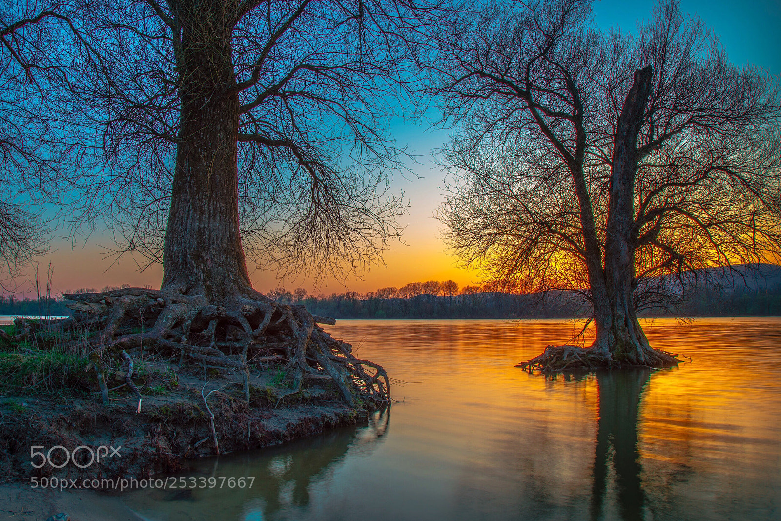 Sony a7R III sample photo. The destructive danube river photography