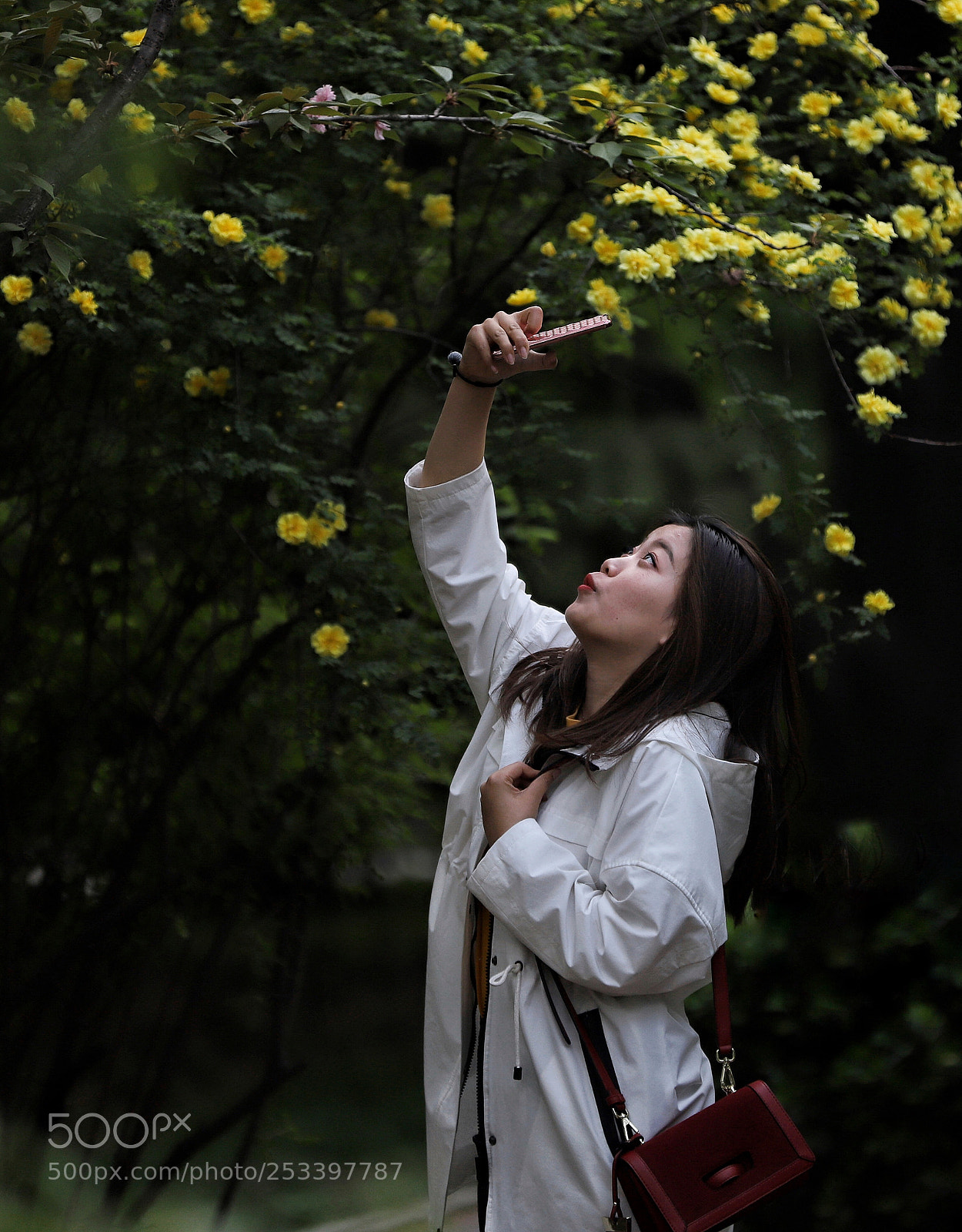Canon EOS 6D Mark II sample photo. 花间一黄昏 photography