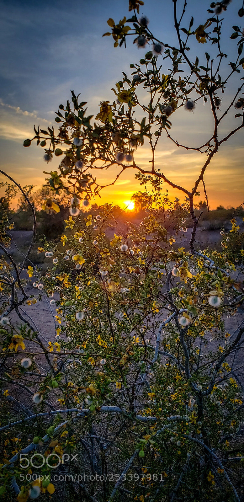 Samsung Galaxy S9+ sample photo. Sunset viens photography