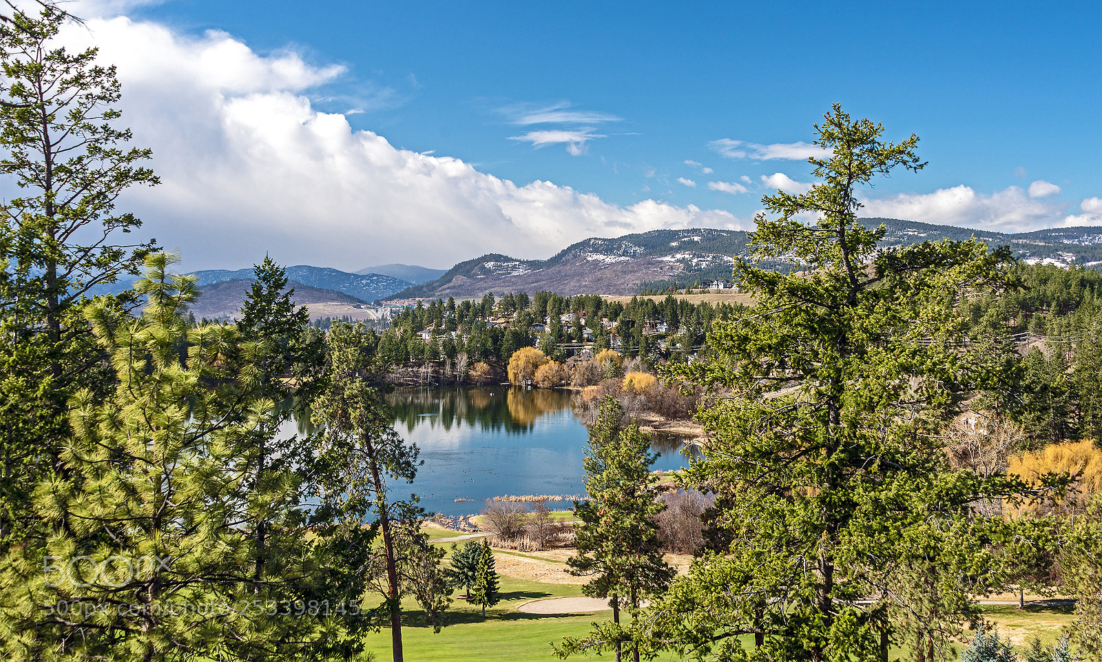 Nikon D610 sample photo. Spring is here photography