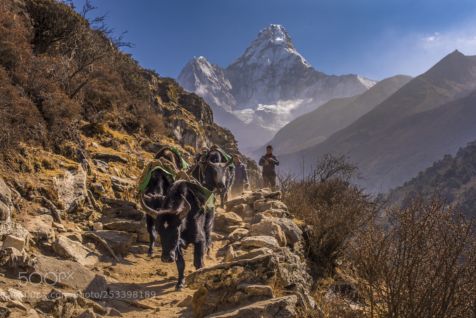 Nikon D810 sample photo. Easy way down photography
