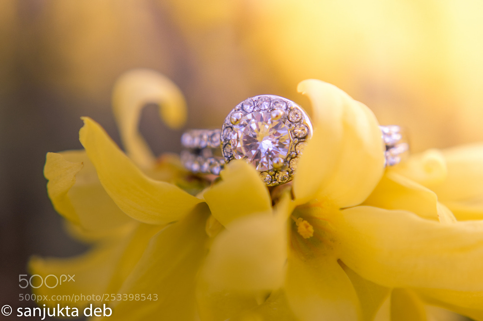 Nikon D3300 sample photo. Spring wedding photography