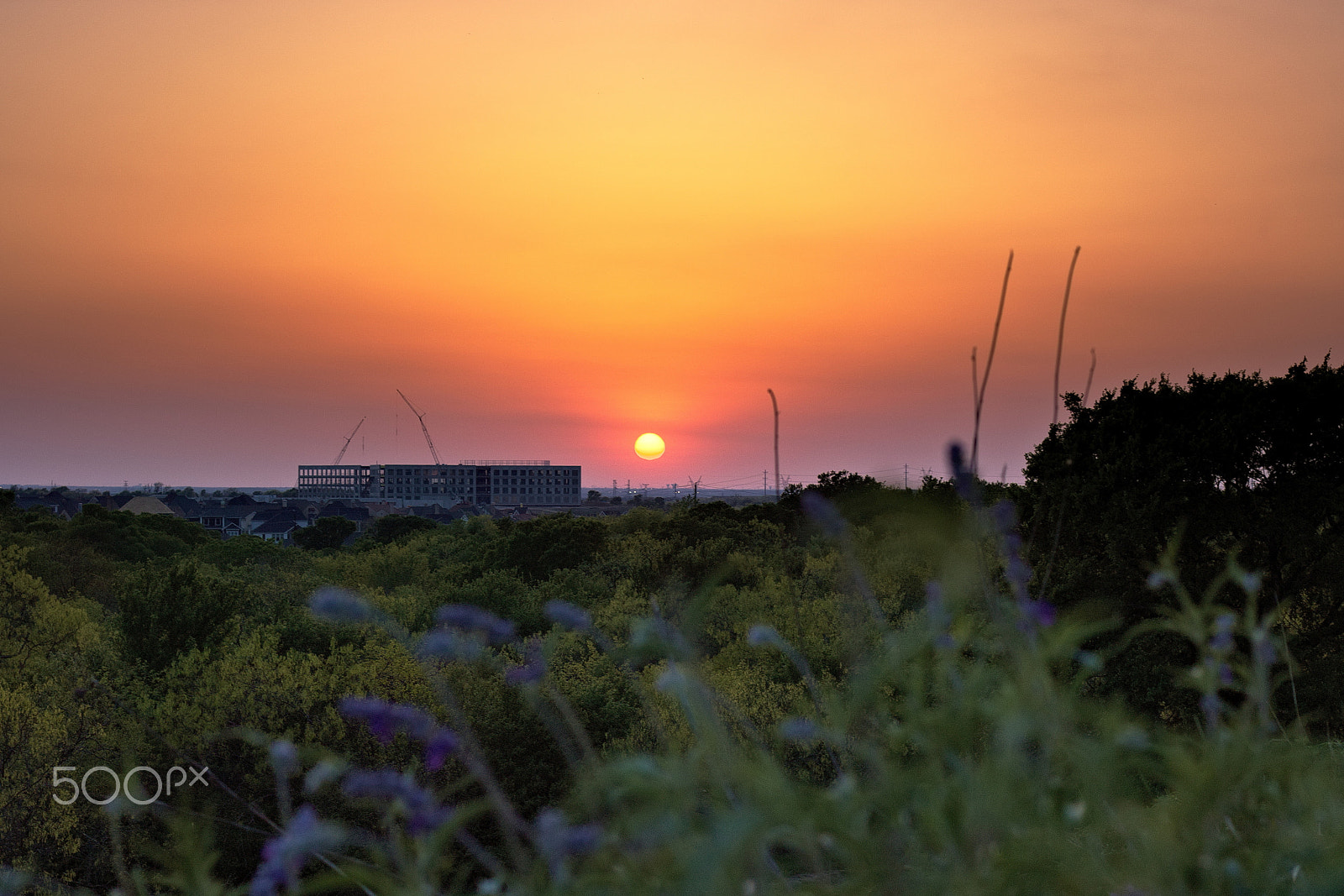 Canon EOS 750D (EOS Rebel T6i / EOS Kiss X8i) sample photo. Arbor hills nature preserve photography