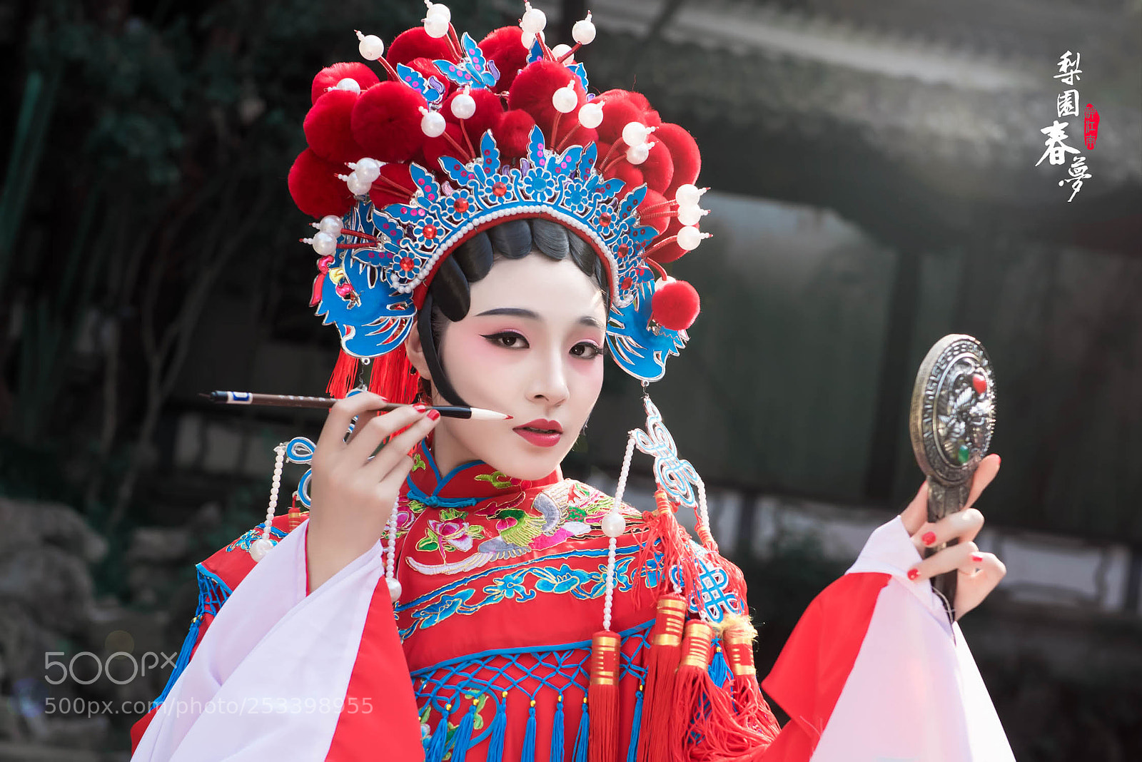 Nikon D810 sample photo. 京剧人物2 photography