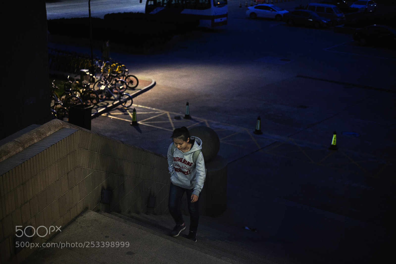 Canon EOS 5D Mark II sample photo. 书非借，很多都不读，借也不读 photography