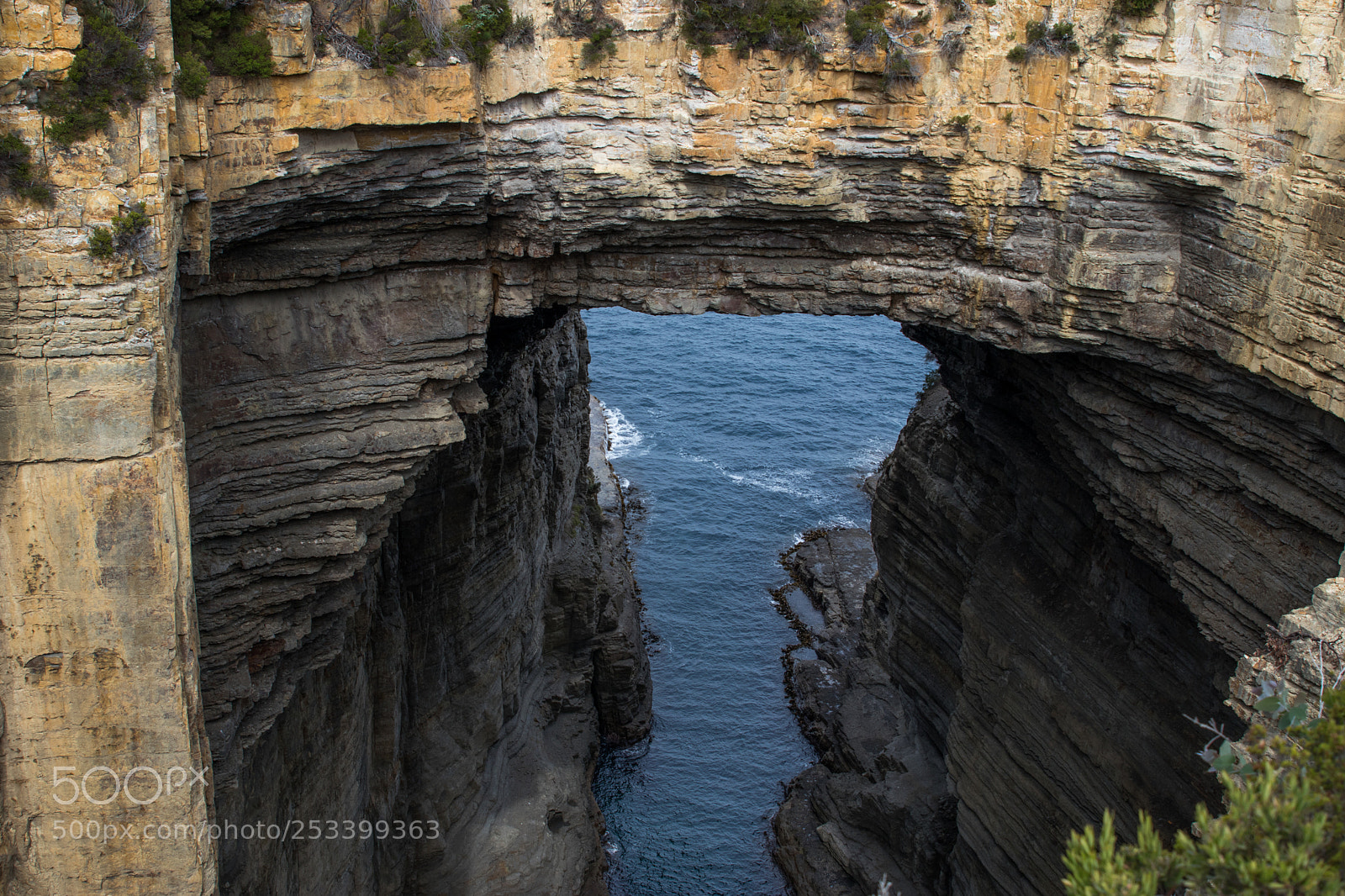 Canon EOS 80D sample photo. Nature of tassie 1 photography