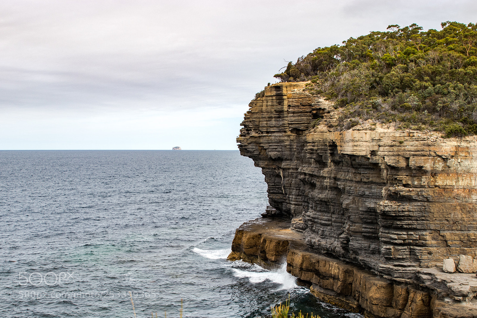 Canon EOS 80D sample photo. Nature of tassie 2 photography