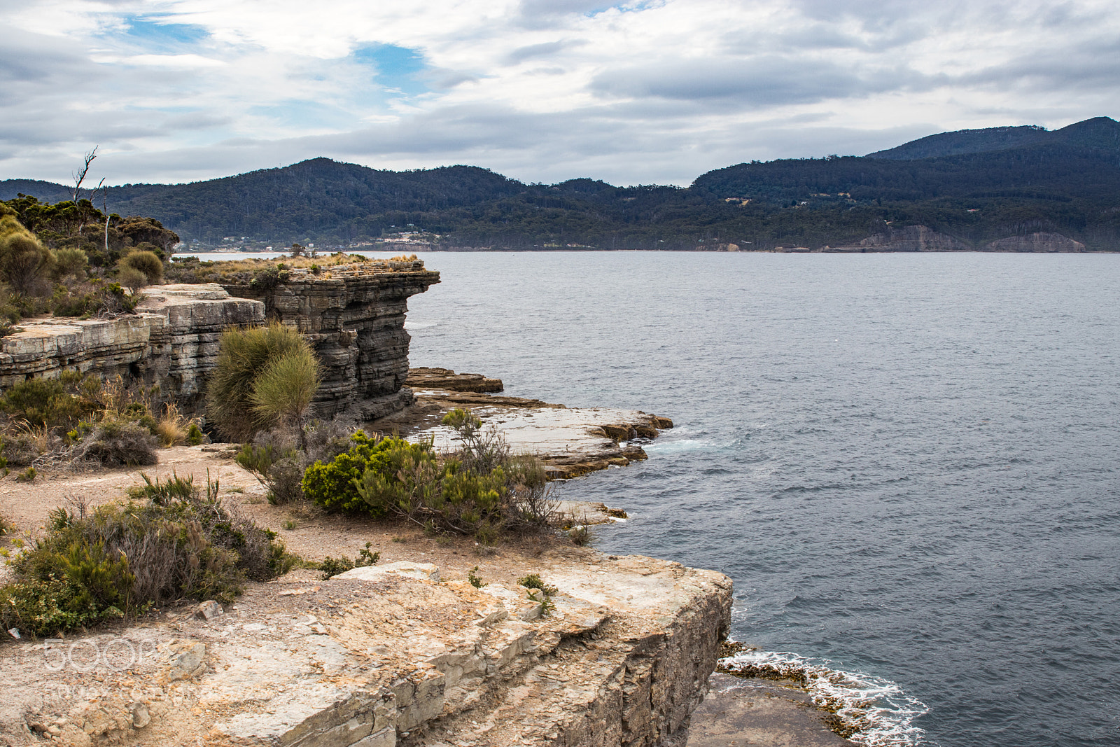 Canon EOS 80D sample photo. Nature of tassie 3 photography