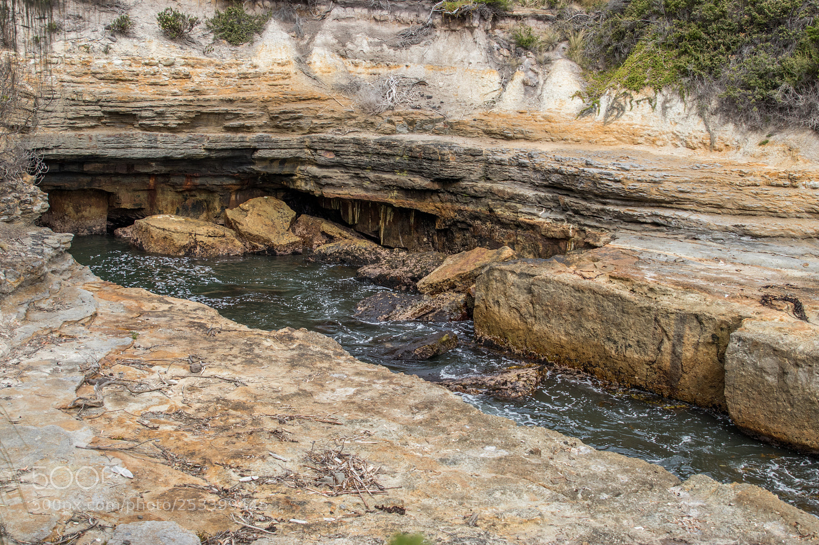 Canon EOS 80D sample photo. Nature of tassie 4 photography