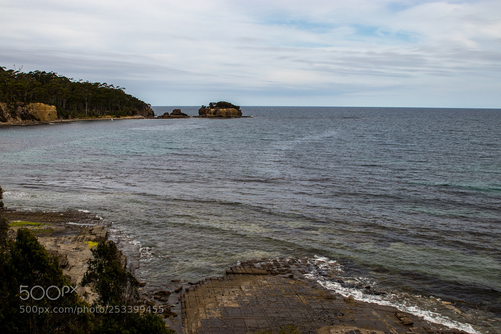 Canon EOS 80D sample photo. Nature of tassie 6 photography