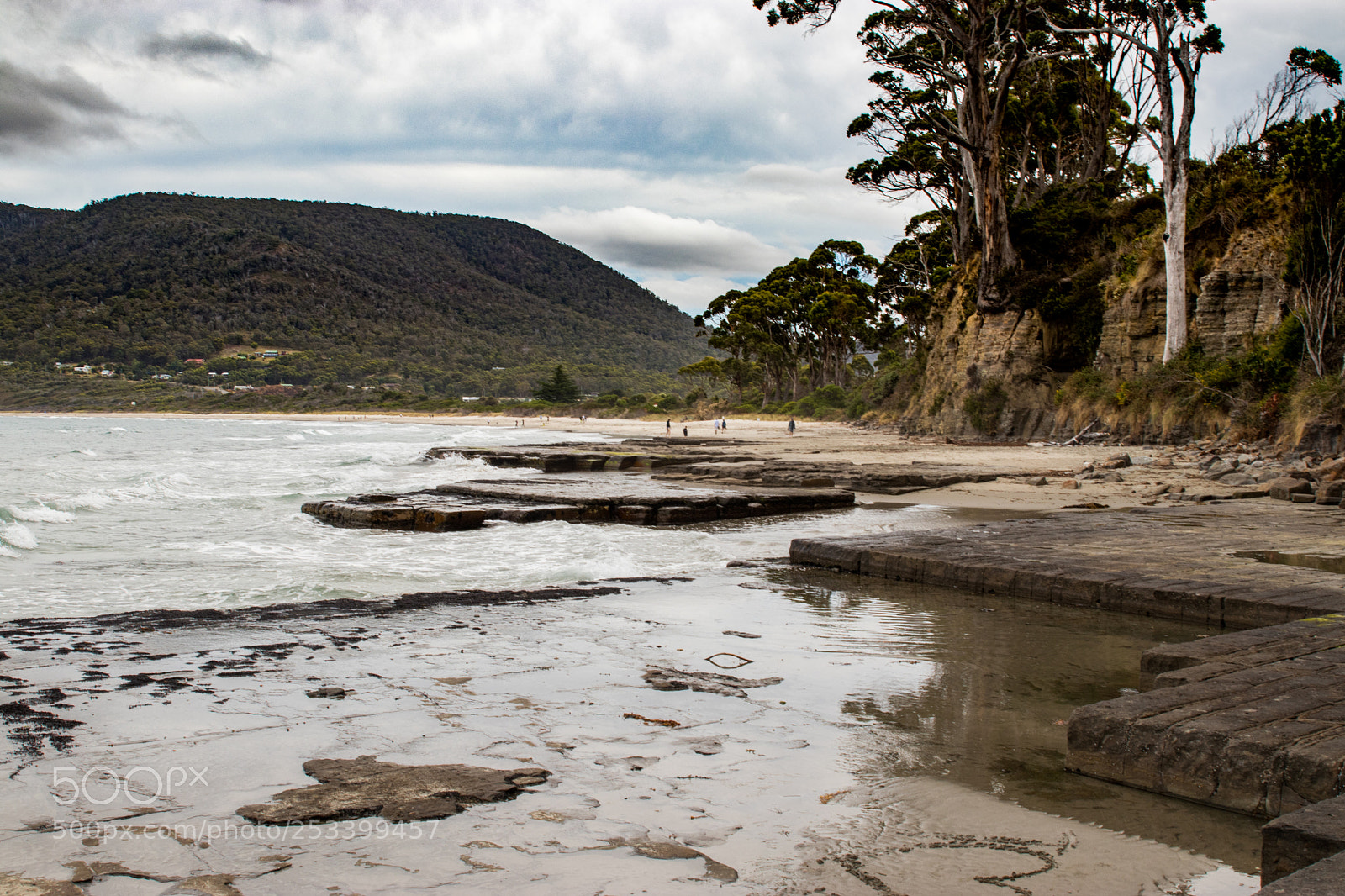Canon EOS 80D sample photo. Nature of tassie 7 photography