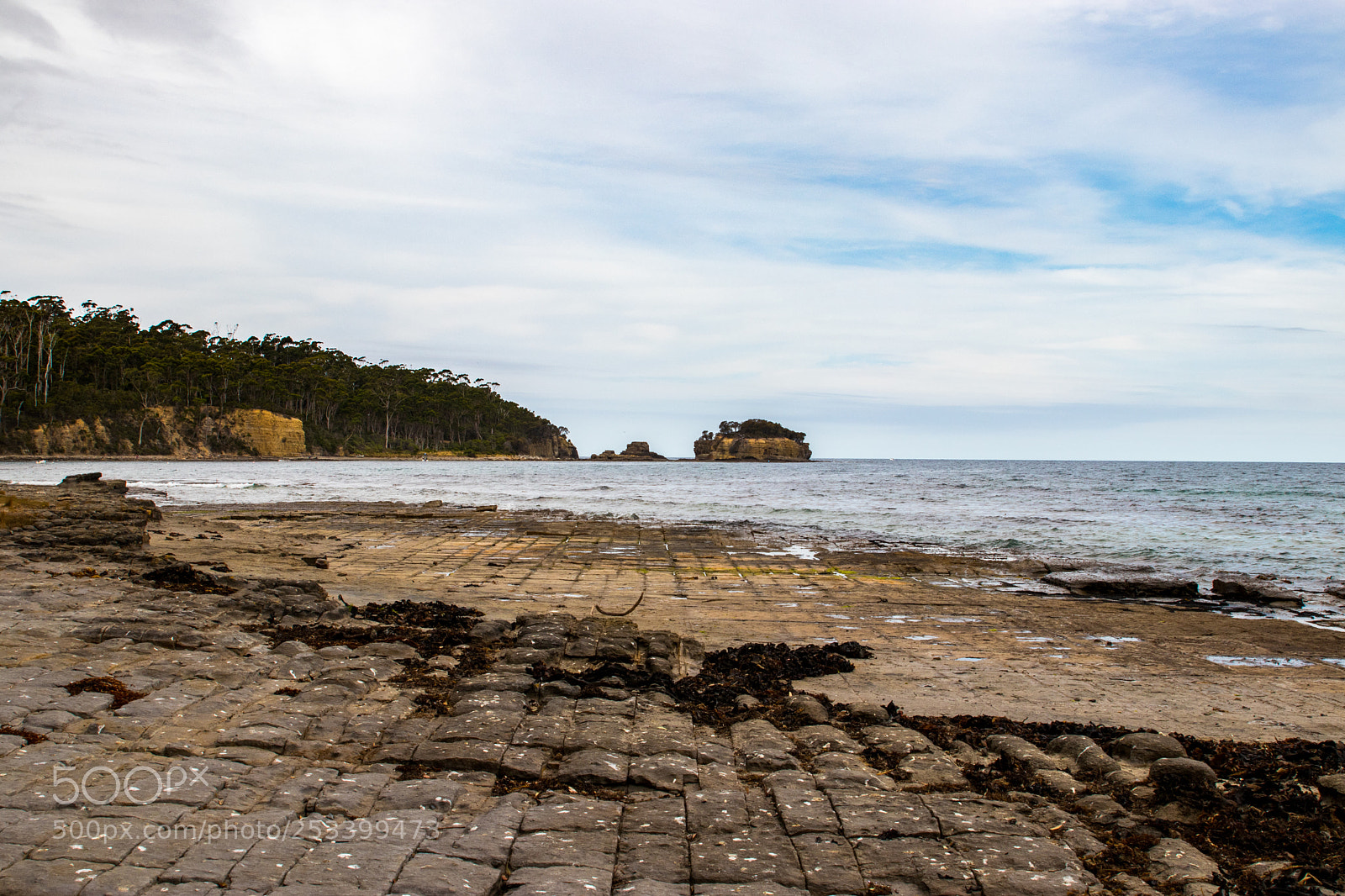 Canon EOS 80D sample photo. Nature of tassie 8 photography
