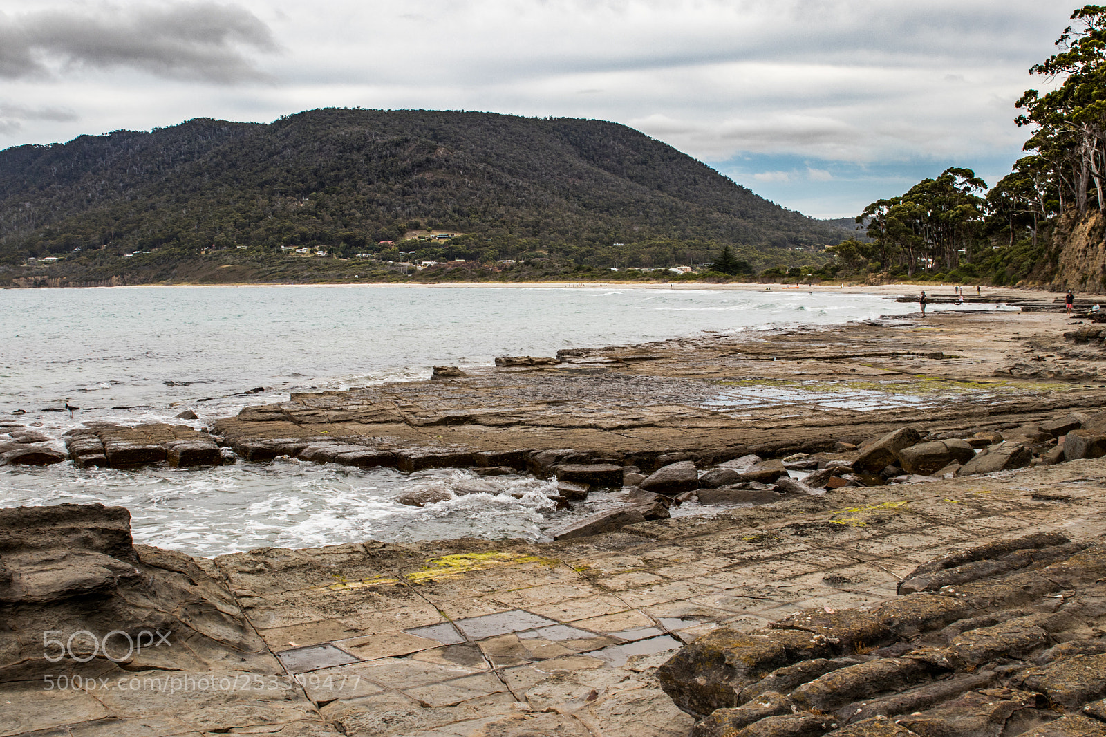 Canon EOS 80D sample photo. Nature of tassie 10 photography
