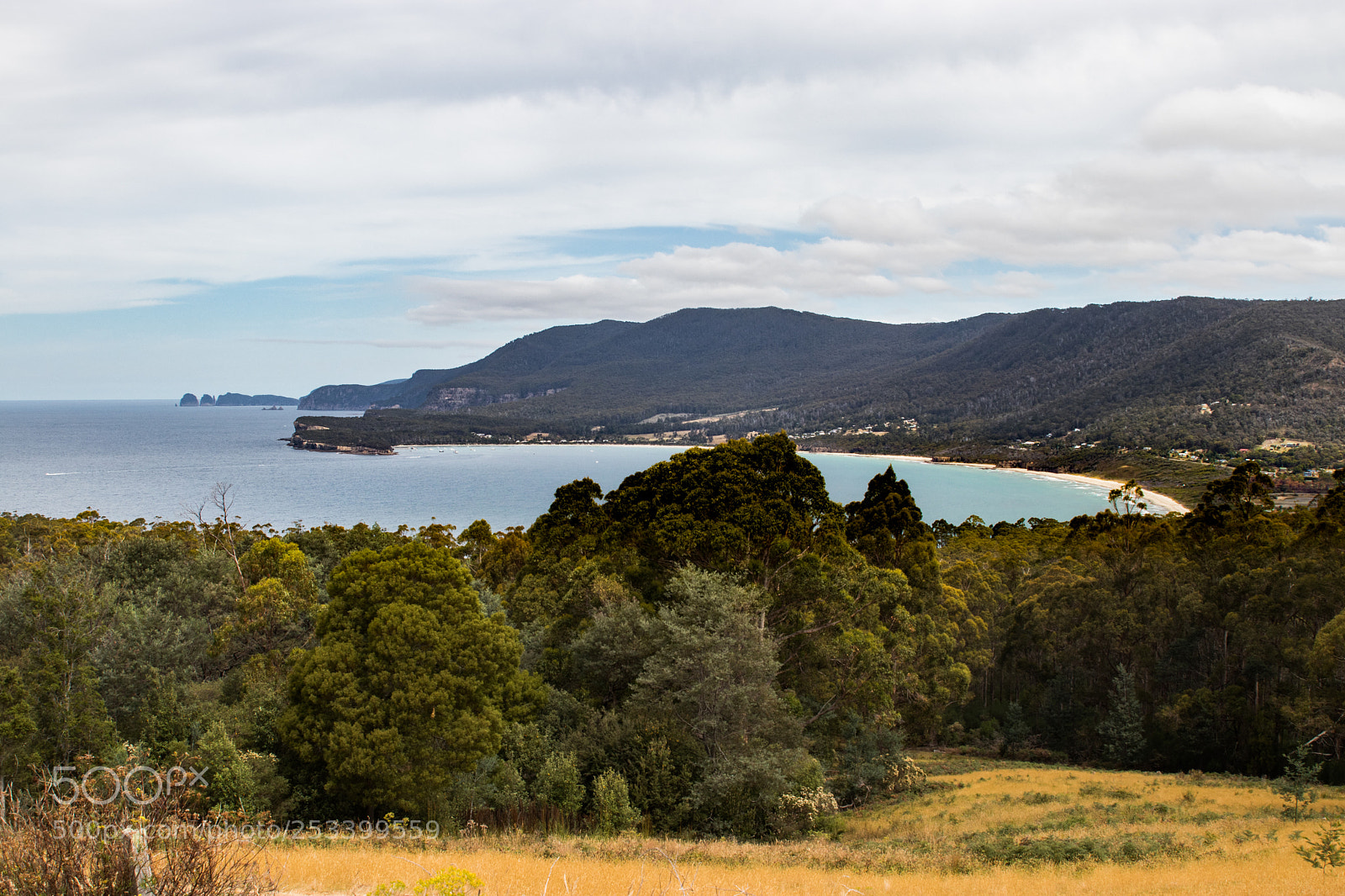 Canon EOS 80D sample photo. Nature of tassie 11 photography