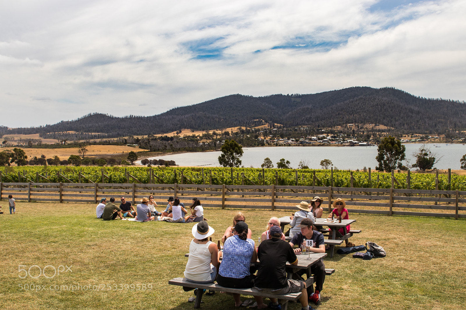 Canon EOS 80D sample photo. Winery 2 photography