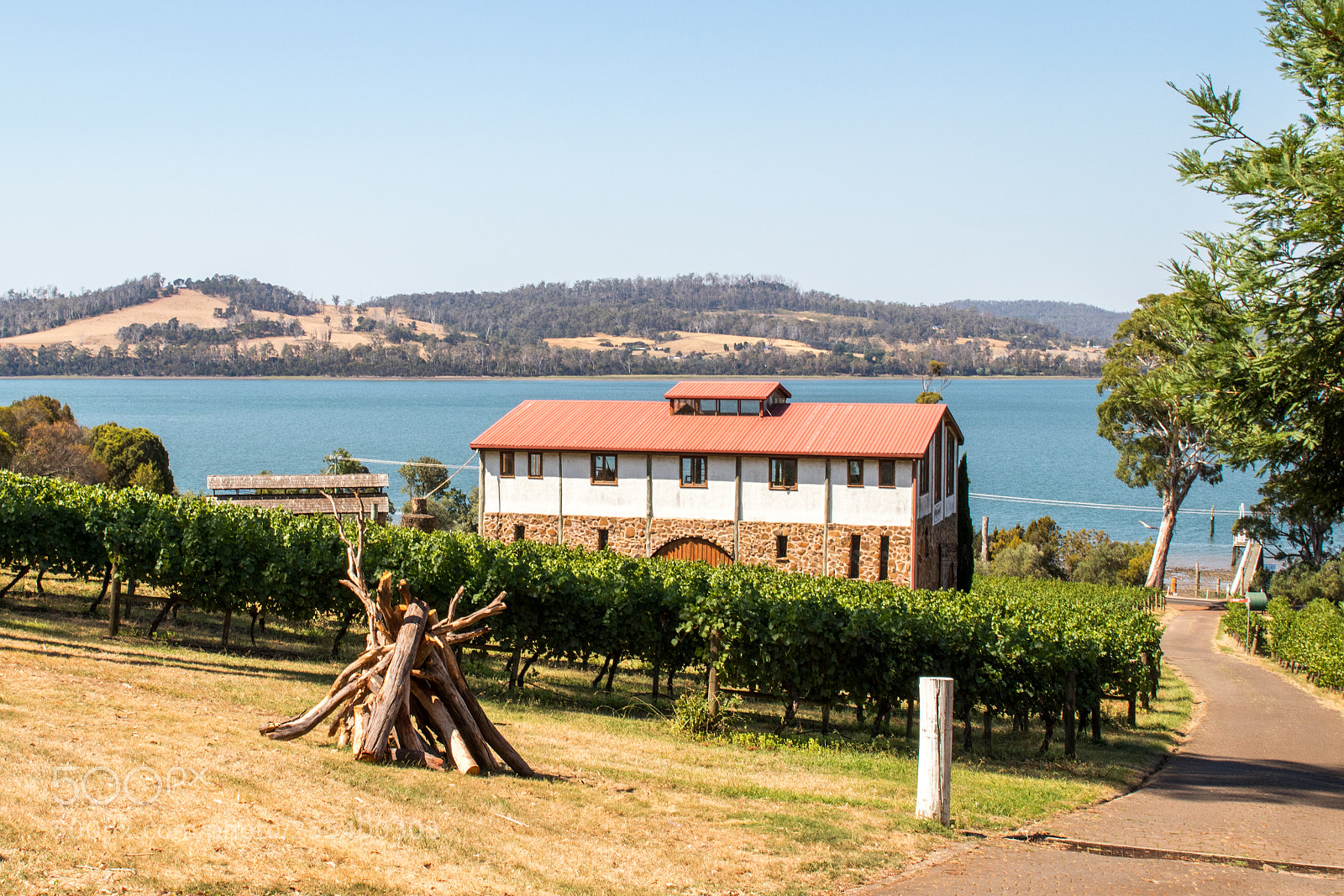 Canon EOS 80D sample photo. Tamar valley winery photography