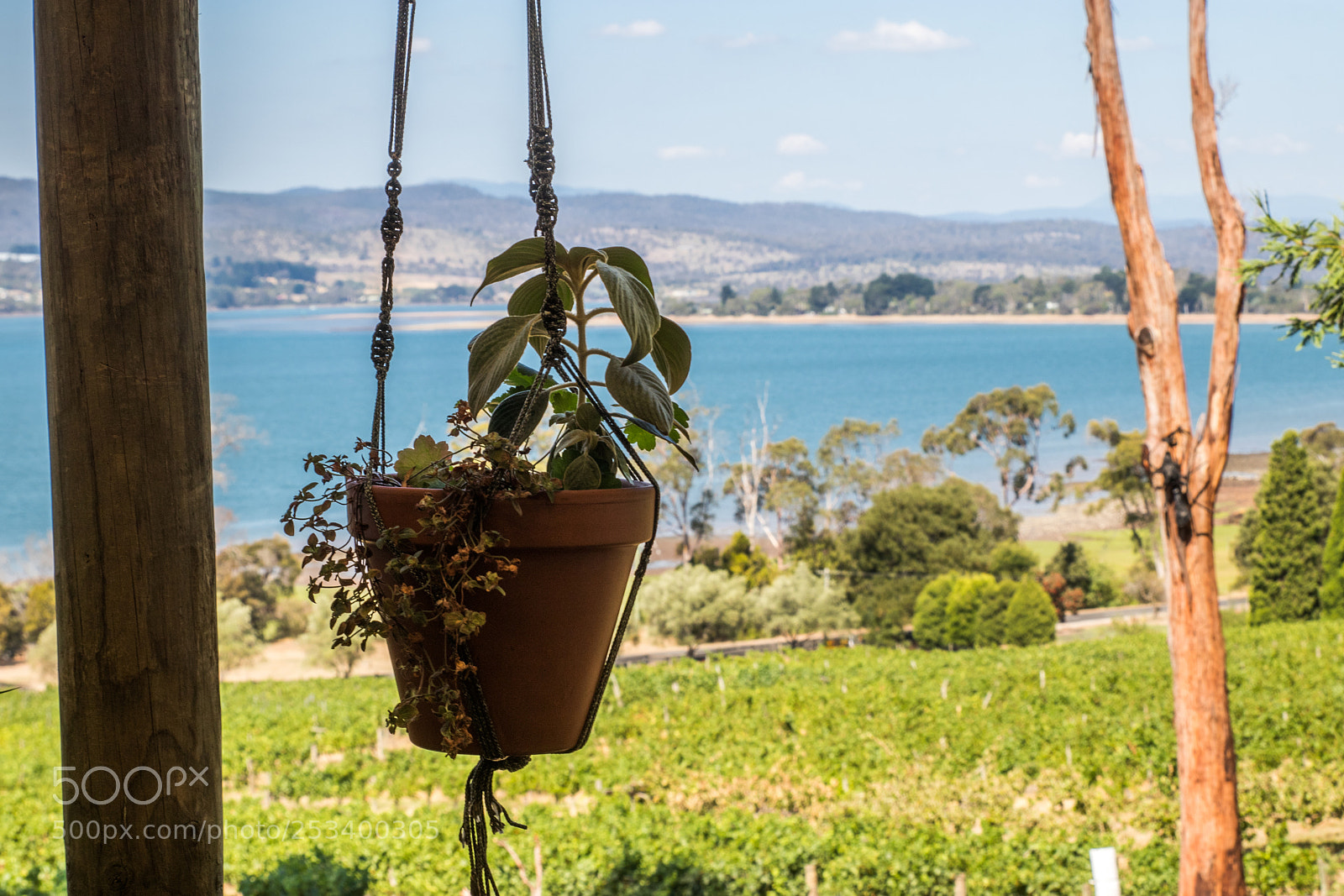 Canon EOS 80D sample photo. Tamar valley winery 4 photography