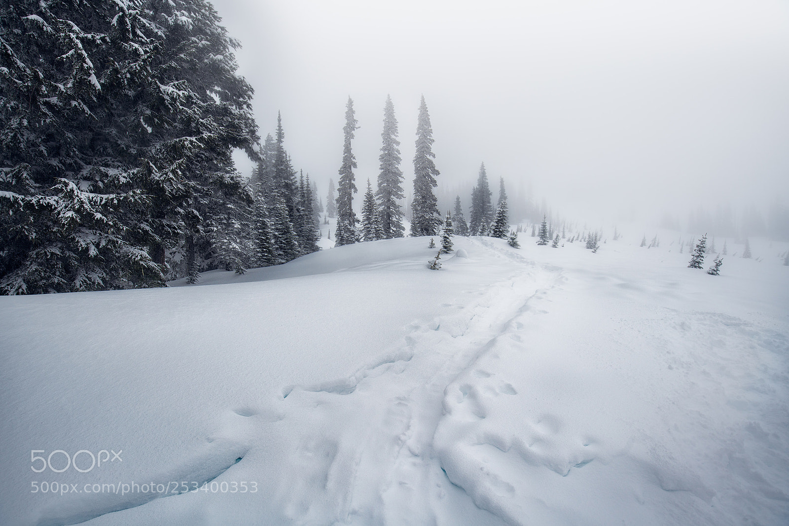 Sony a7R III sample photo. Winter at mt. rainier photography