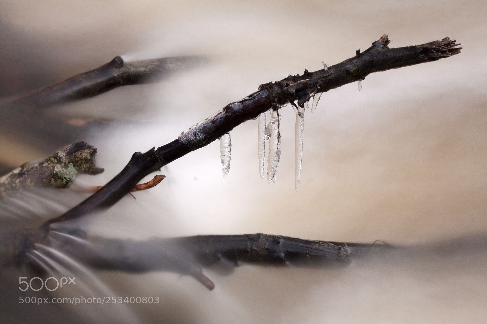 Canon EOS 50D sample photo. Some cold woodoo photography