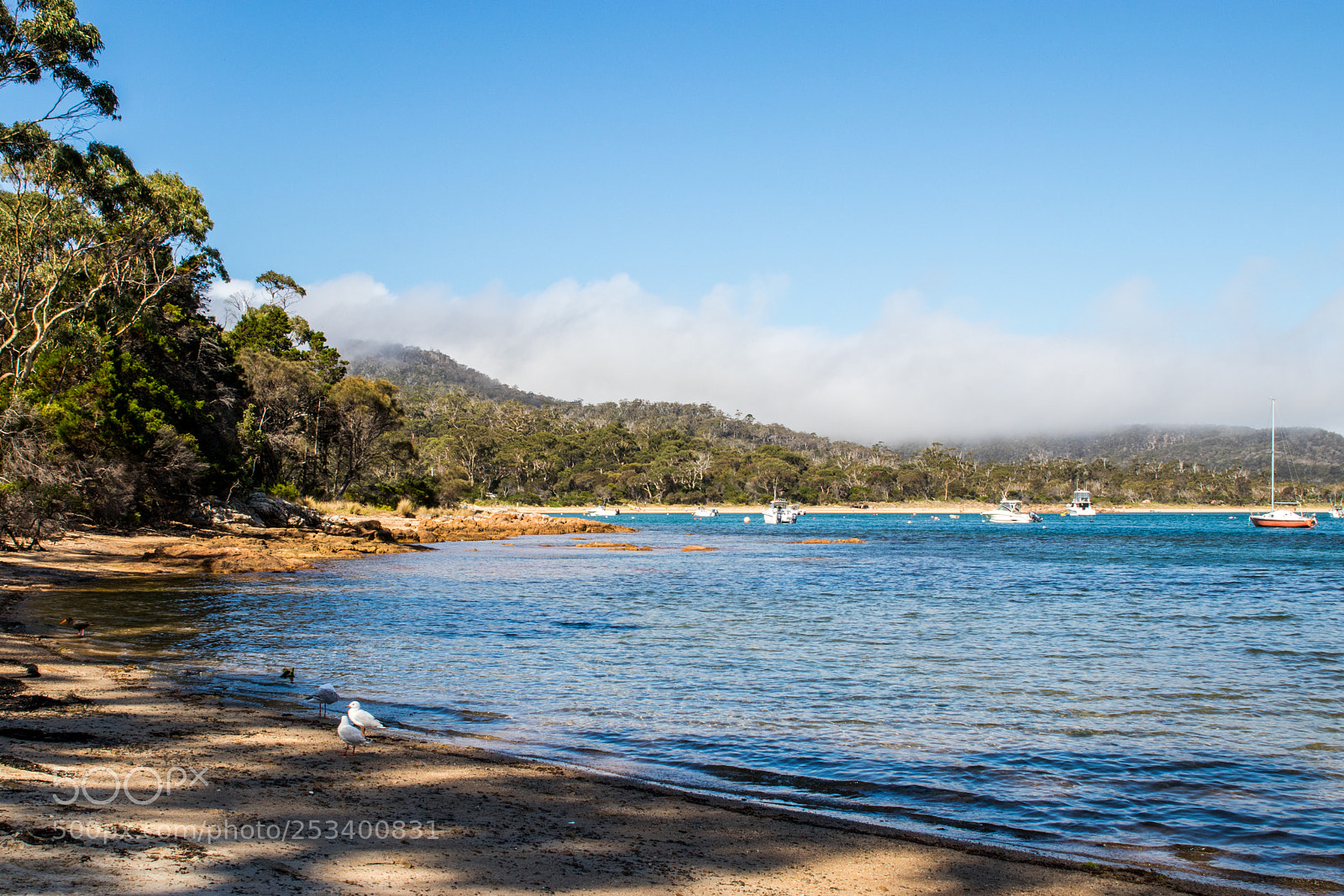 Canon EOS 80D sample photo. Coles bay photography