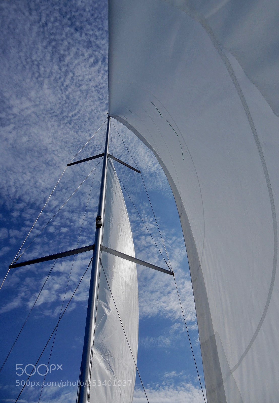 Nikon Coolpix A900 sample photo. Sails photography