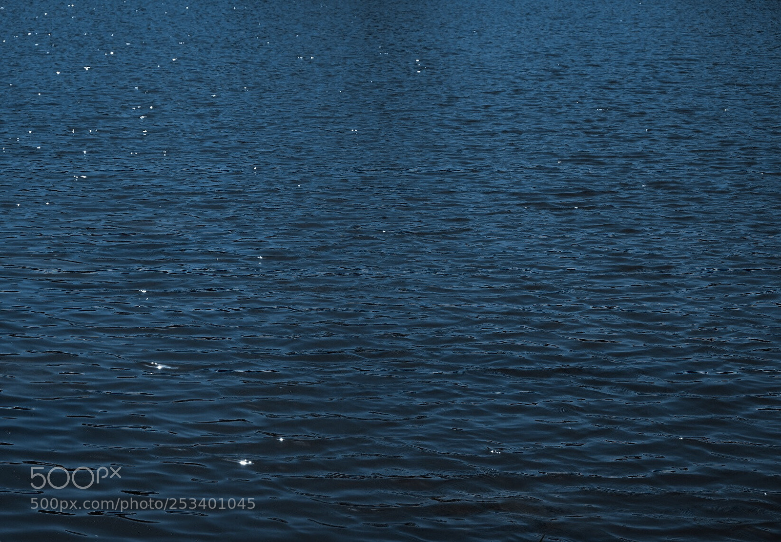 Fujifilm X-T20 sample photo. Untitled photography