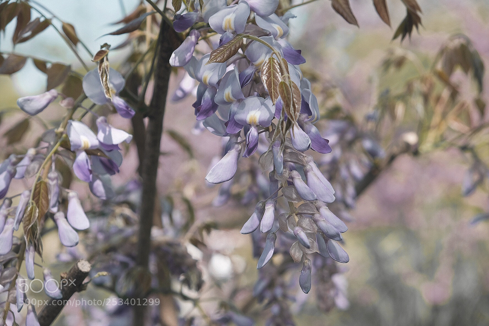 Fujifilm X-T20 sample photo. Untitled photography