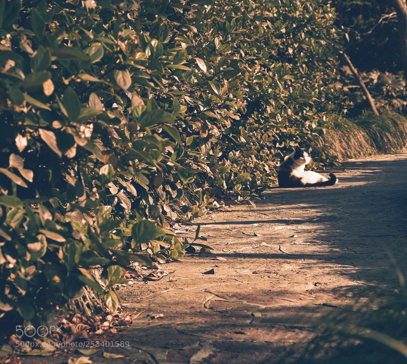 Fujifilm X-T20 sample photo. Untitled photography