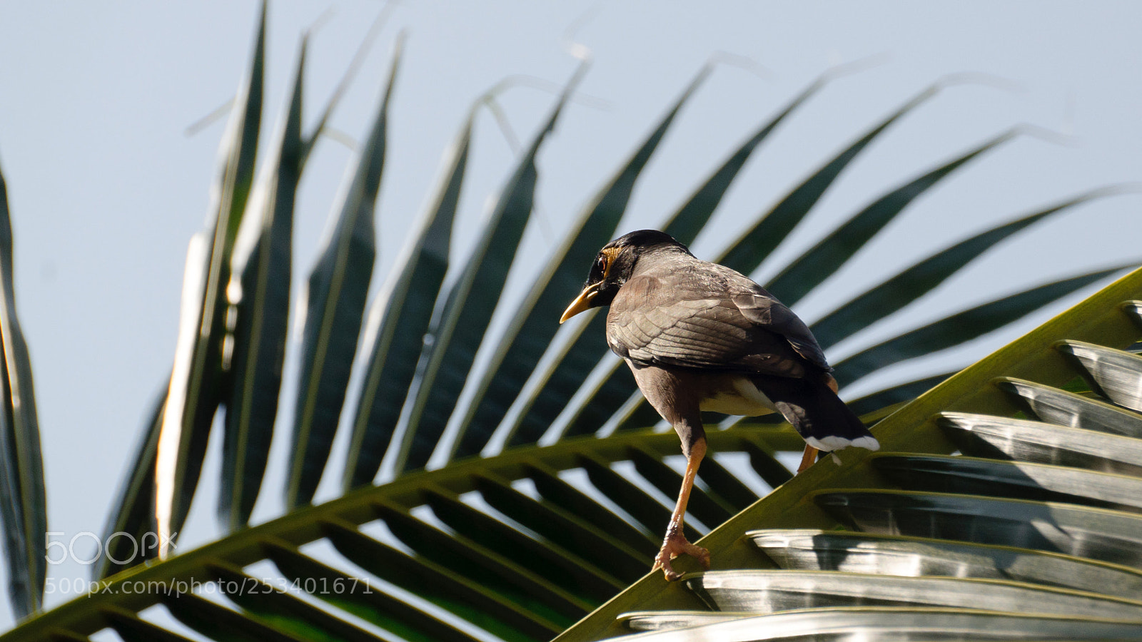 Nikon D5000 sample photo. I"m watching you photography
