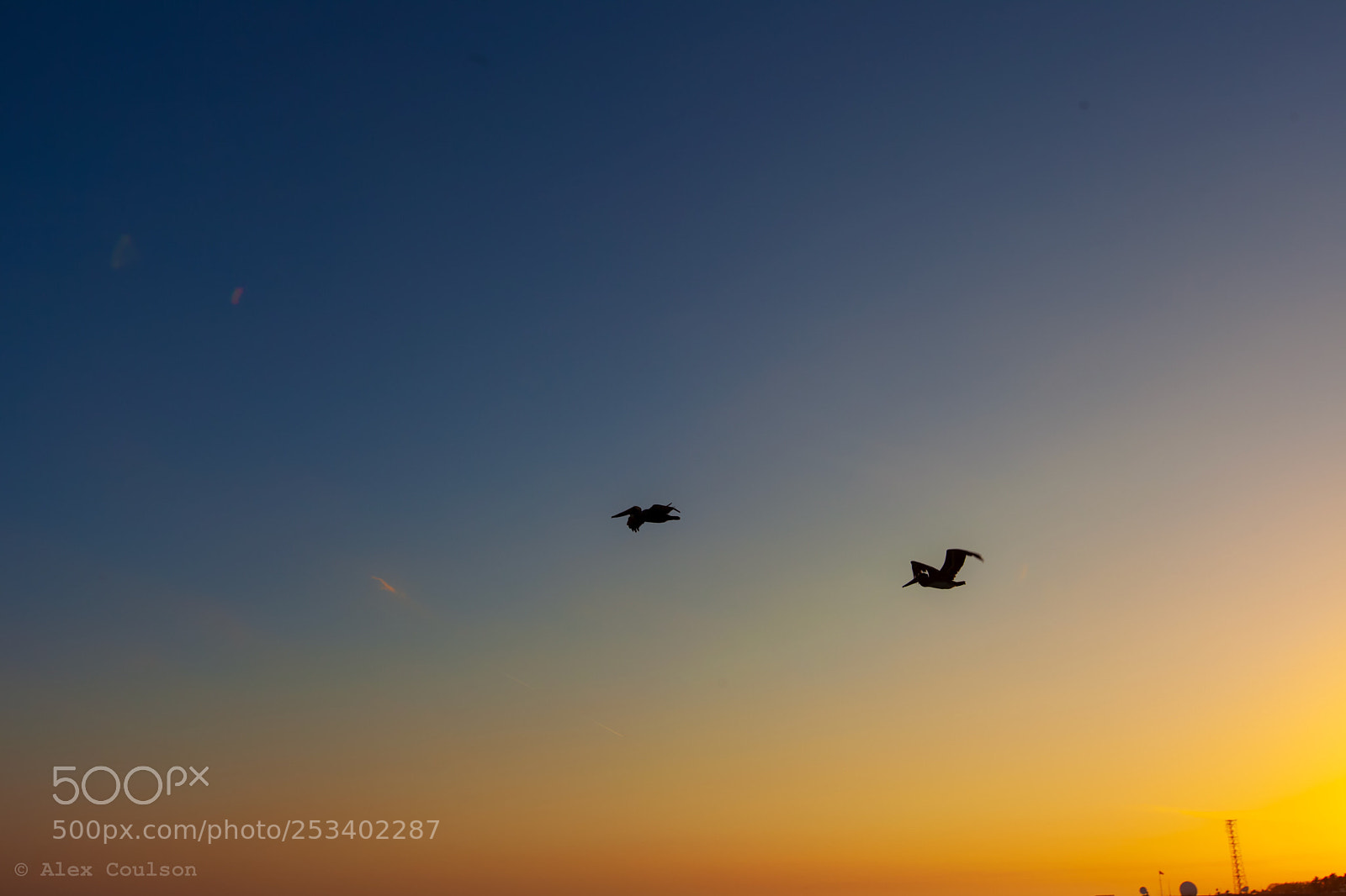Canon EOS 5D Mark II sample photo. Come fly with me photography