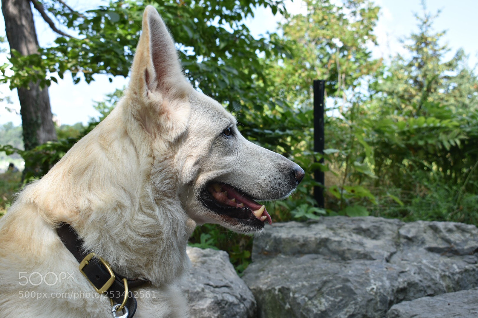 Nikon D3400 sample photo. Kai photography