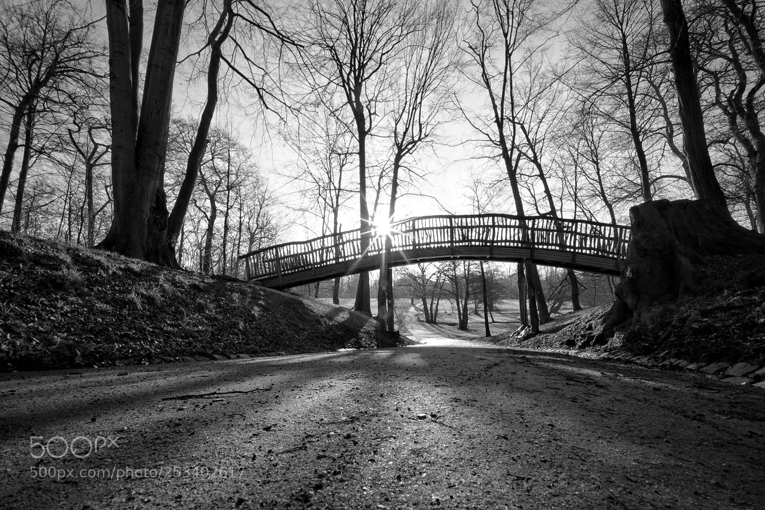 Sony a7R sample photo. Morning sun photography