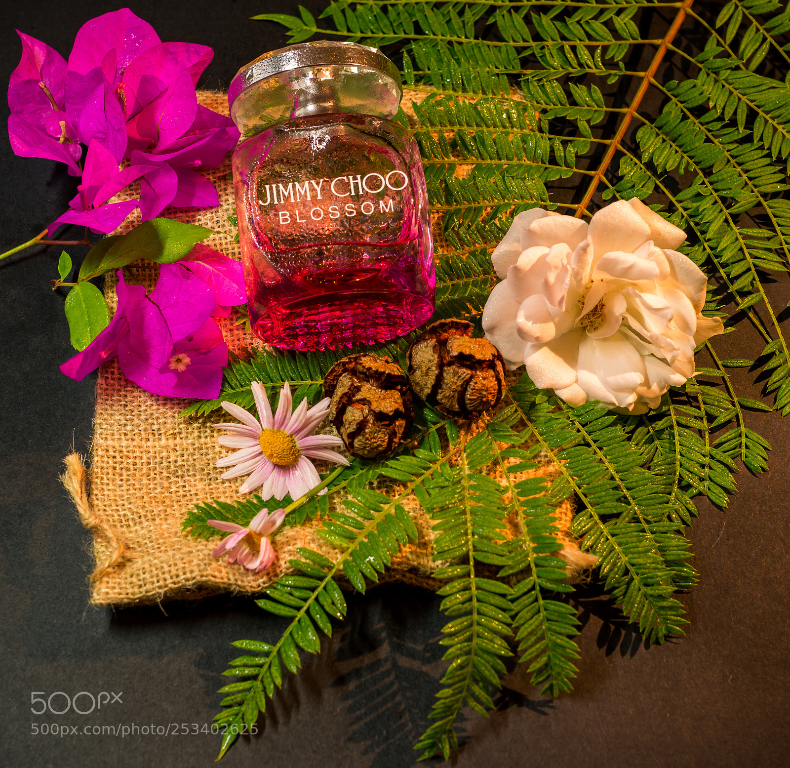 Nikon D800E sample photo. Untitled photography