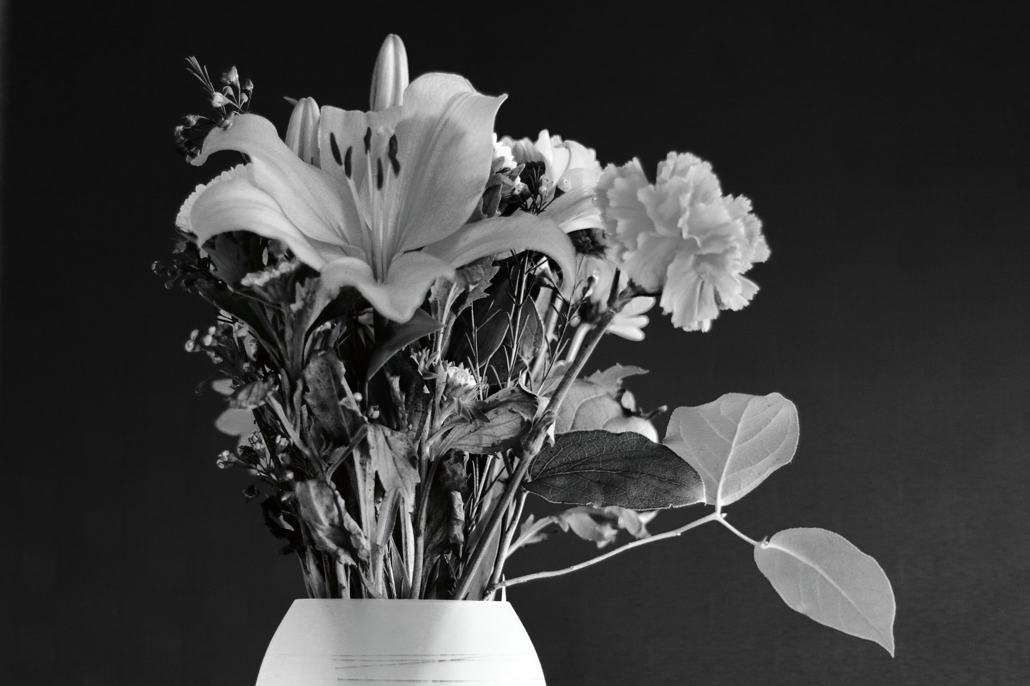 Canon EOS M5 + Canon EF 50mm F1.8 II sample photo. Flowers b&w photography