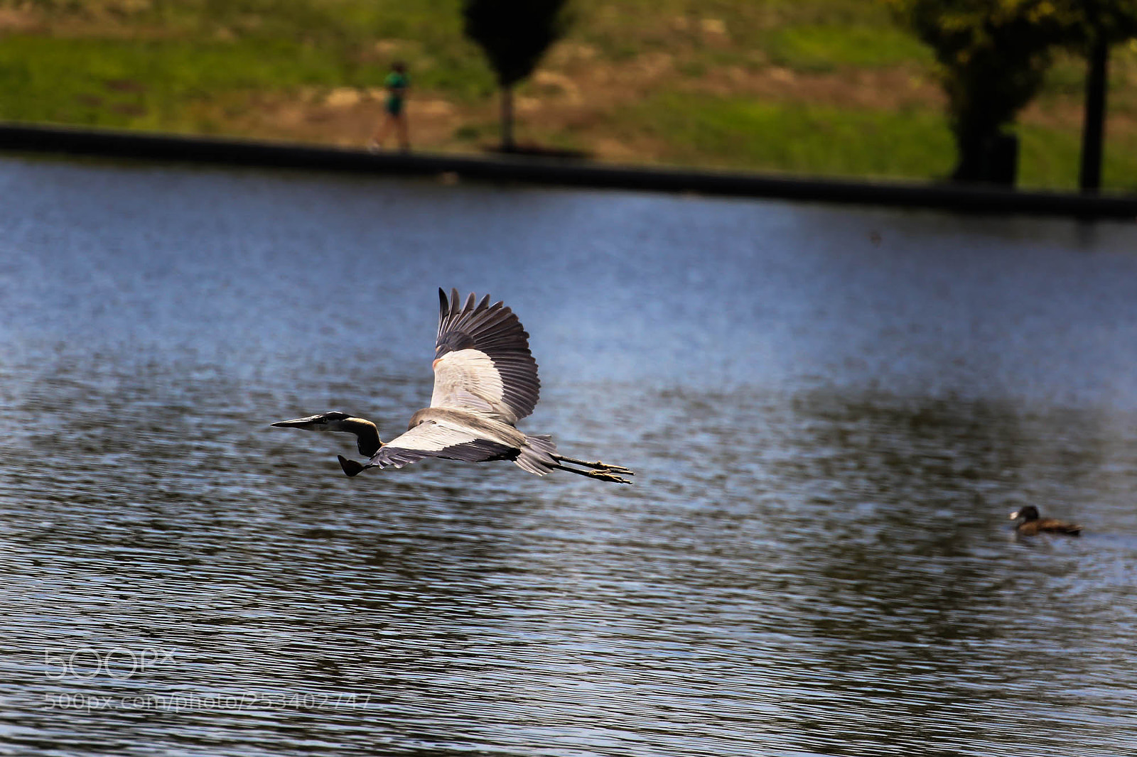 Canon EOS 5D Mark IV sample photo. () photography