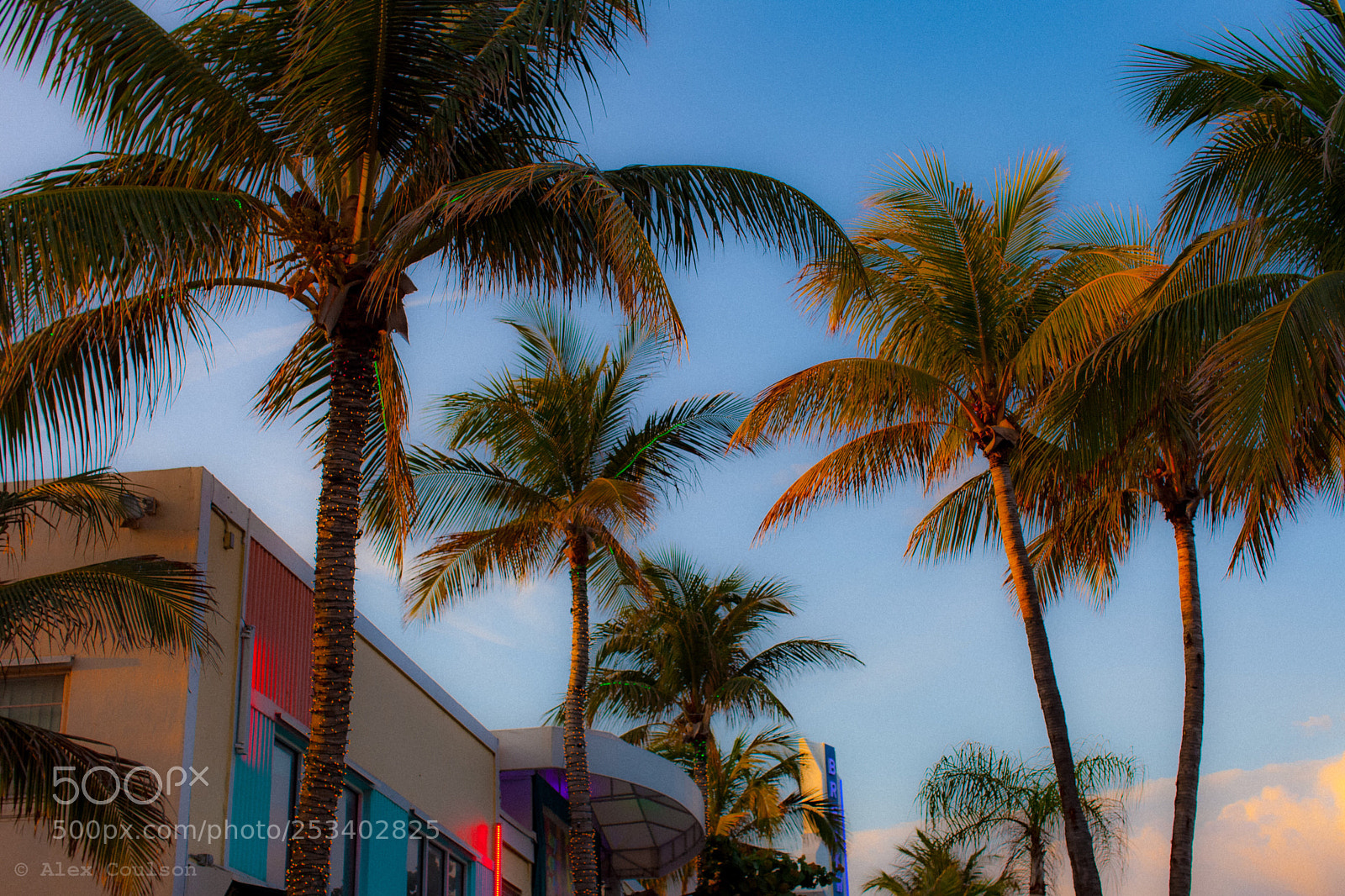 Canon EOS 5D Mark II sample photo. Caribbean breeze photography
