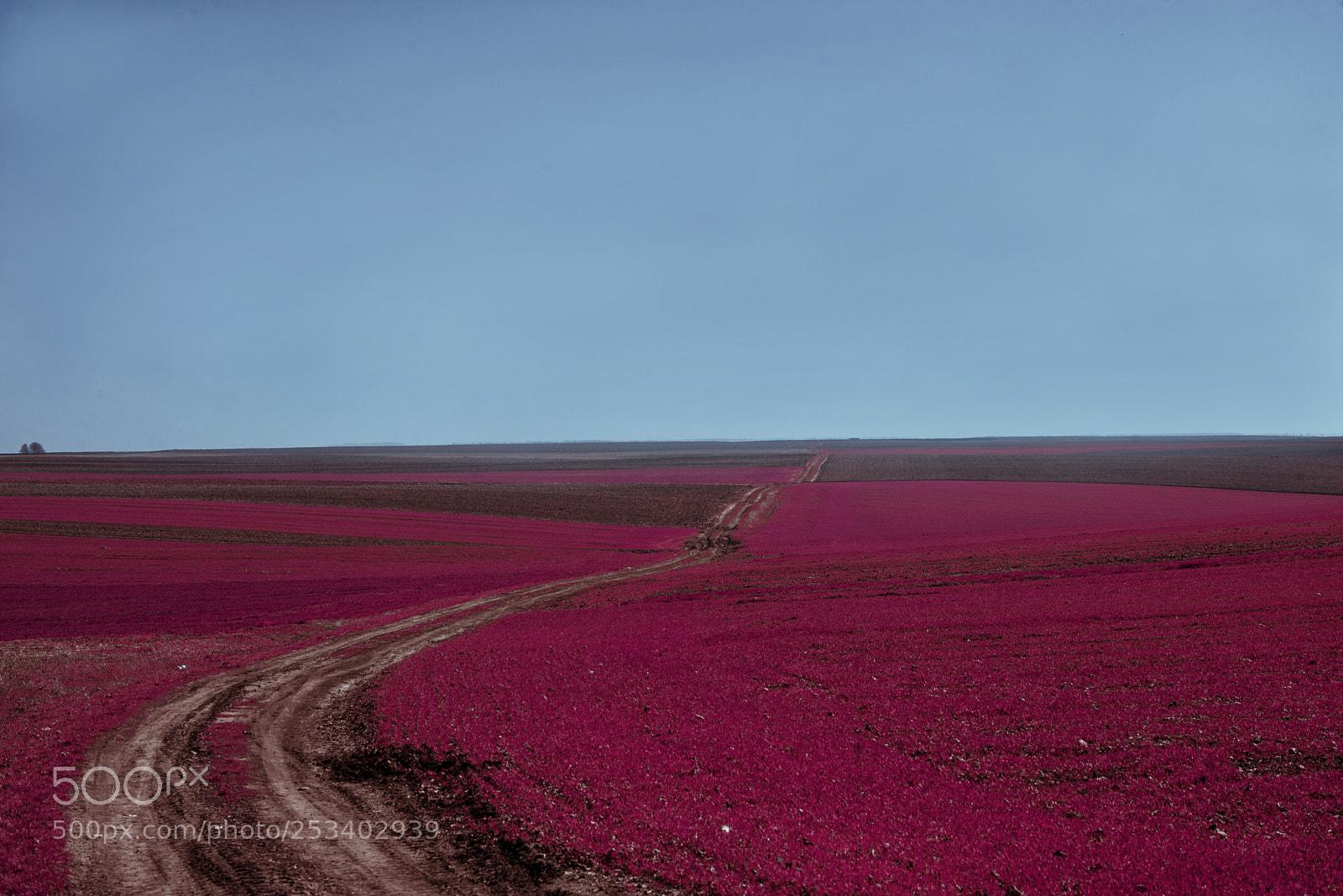 Nikon D600 sample photo. Spring`s dirt road photography