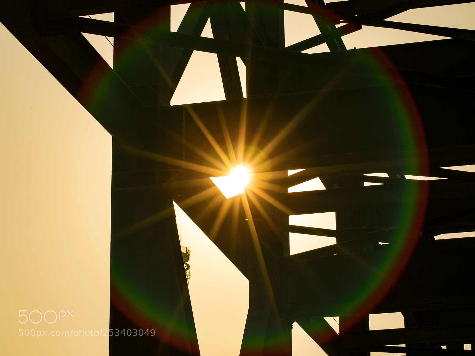 Canon EOS 5D Mark IV sample photo. Untitled photography