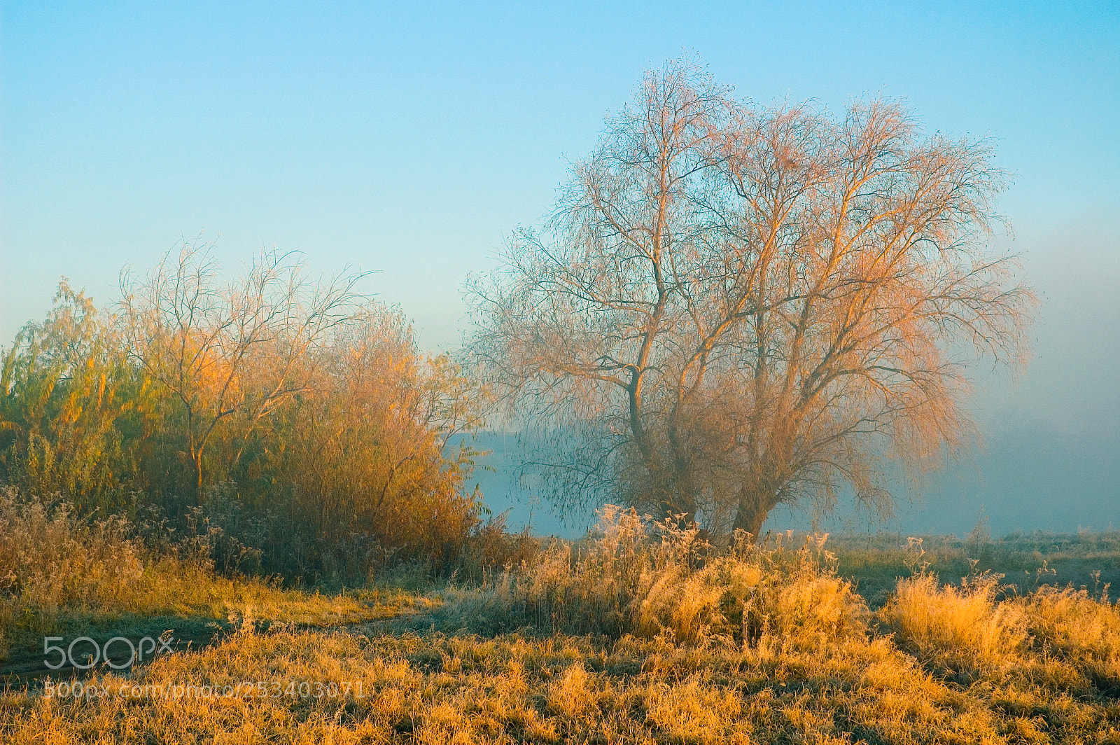 Nikon D70 sample photo. In the morning at photography