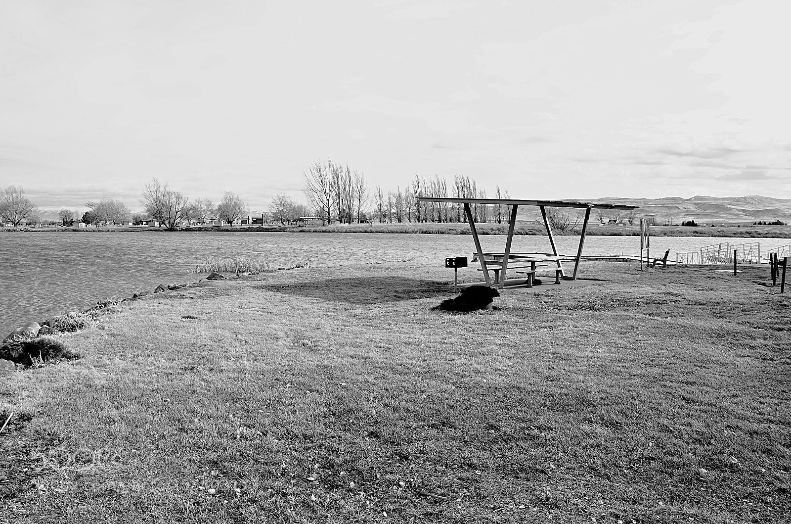 Nikon D7000 sample photo. Wounded photography