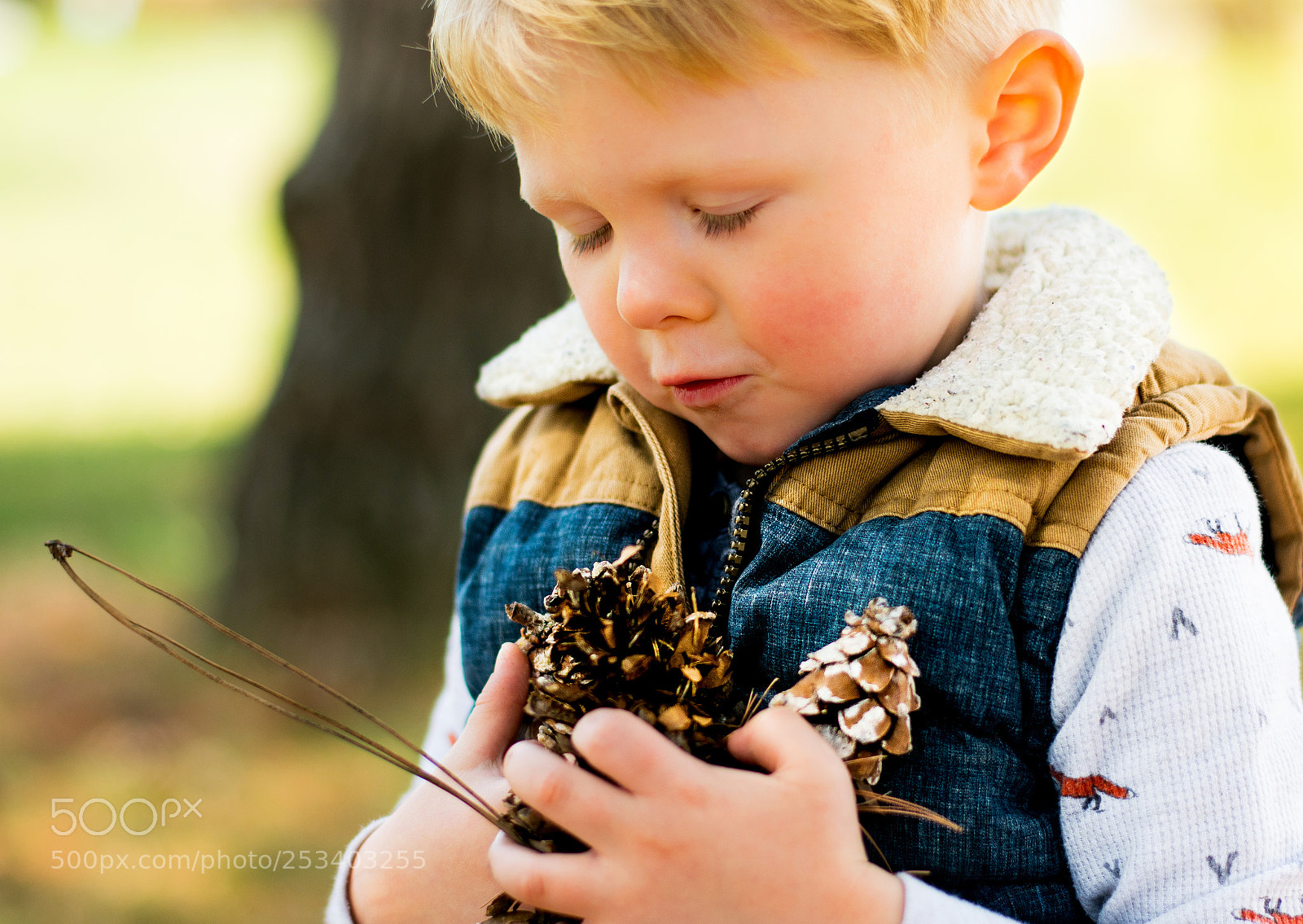 Nikon D3400 sample photo. A boy's treasure photography