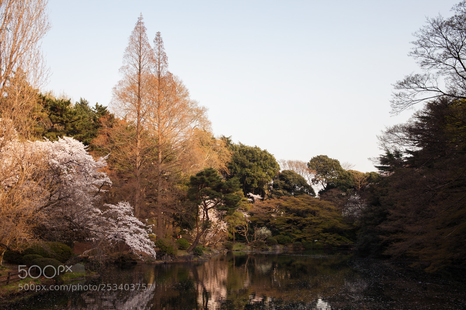 Canon EOS 5D Mark II sample photo. 7163 photography